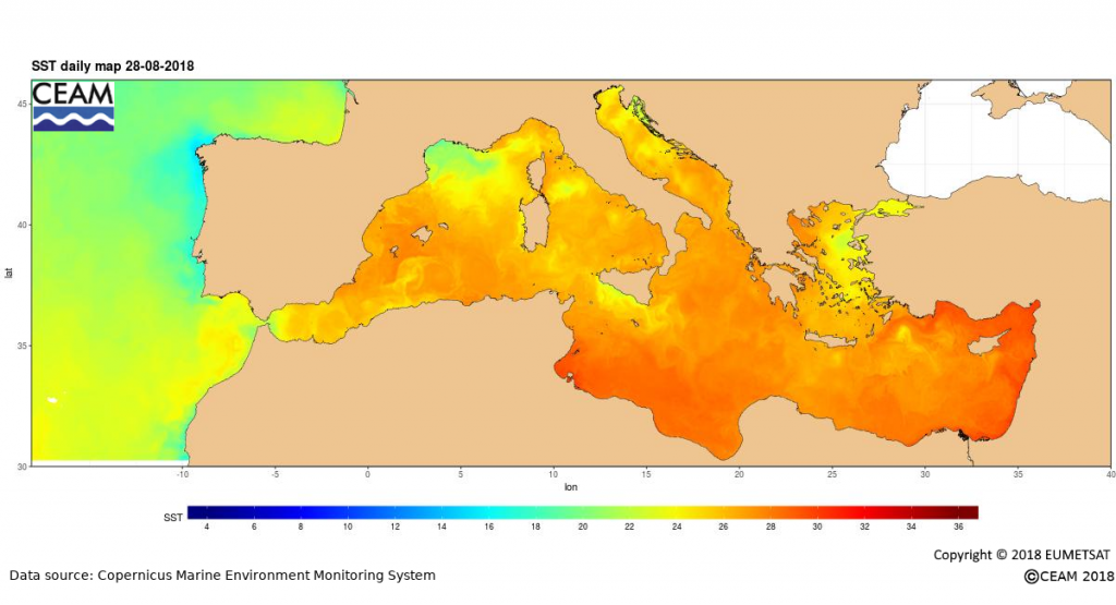 El Mar Como Una Sopa La Preocupante Temperatura Del Agua En El