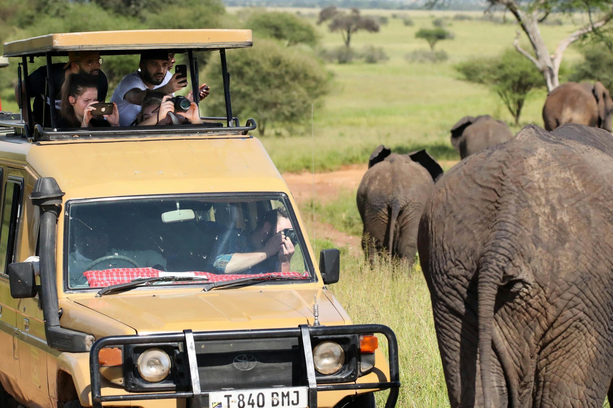 Turista Espa Ol Muere Aplastado Por Un Elefante En Un Safari Por Tomar