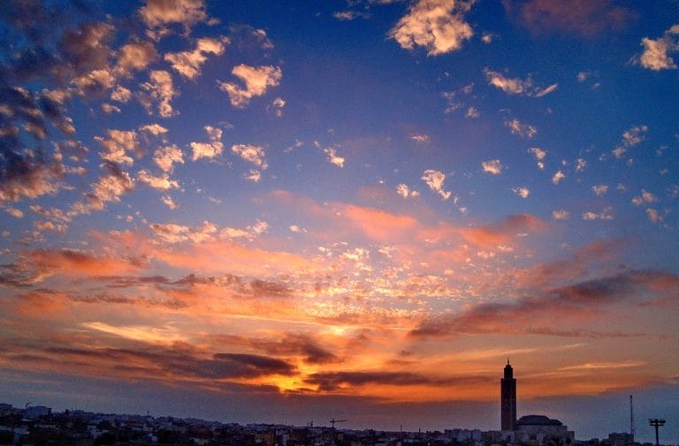 Todo Lo Que Necesitas Saber Sobre Los Planes De Marruecos Y La Siembra