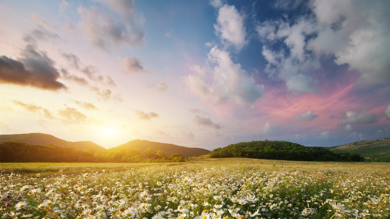 Equinoccio de primavera 2025 qué día y a qué hora arranca en España