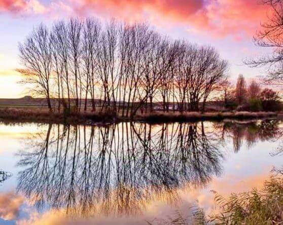Fotografía de noviembre