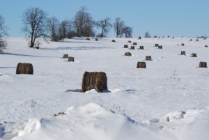 Año de nieves, ¿año de bienes? Así influirá en las cosechas
