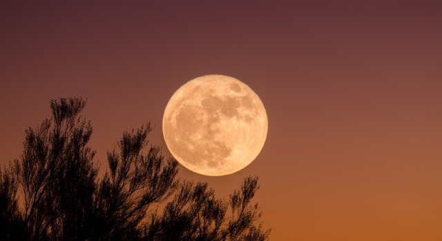superluna-de-sangre-y-luna-azul1