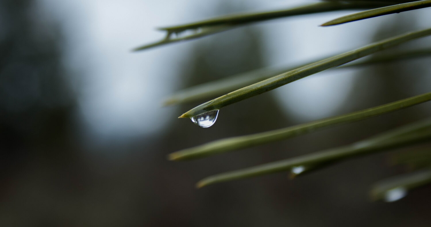 reutilizar el agua de la lluvia gotas agua