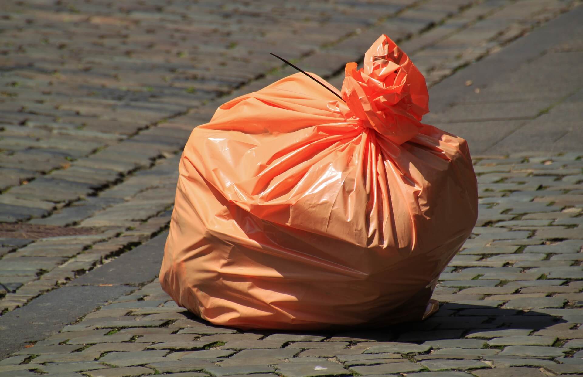 Izar reporte ayuda Sabes cuánto contamina una bolsa de plástico? | Eltiempo.es
