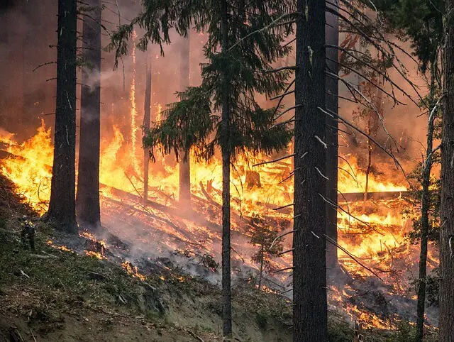 Incendio Forestal en España
