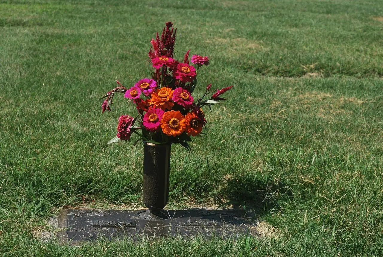 cementerio flores agricultura