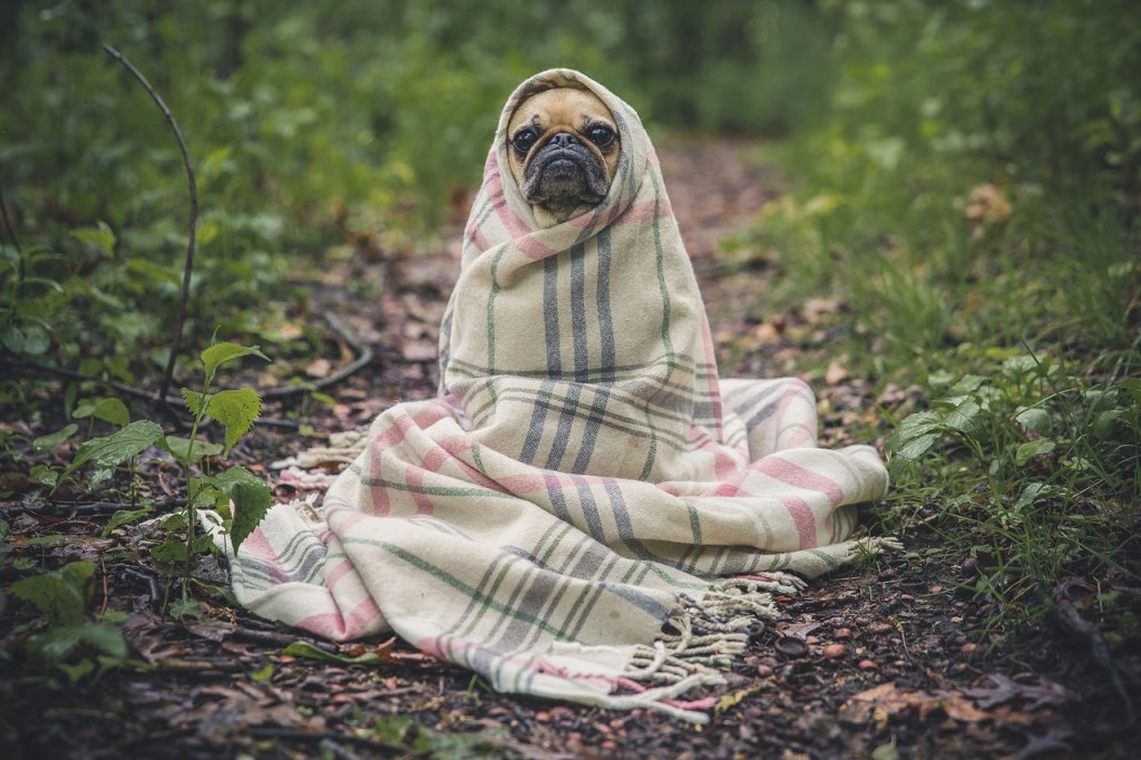 consejos frio invierno