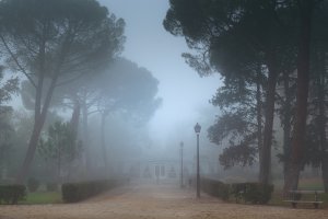 ¡Bajo la niebla! Así han amanecido muchas zonas de España