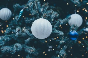 Árbol de Navidad natural o de plástico: ¿qué es más ecológico?