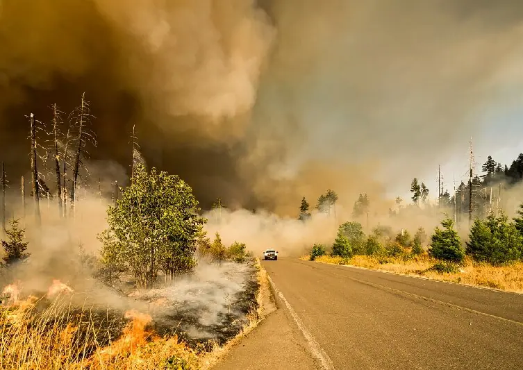 los incendios pasan factura por el cambio climático