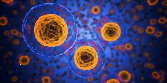 Gérmenes y virus.