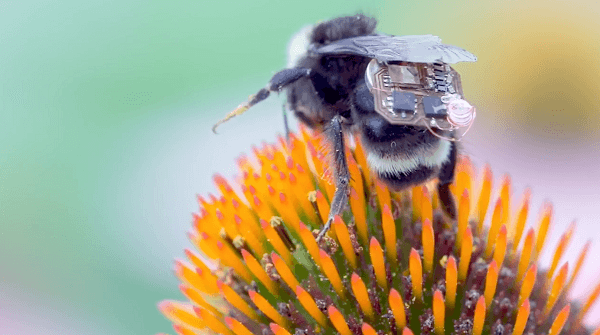 mochila abejas con sensores