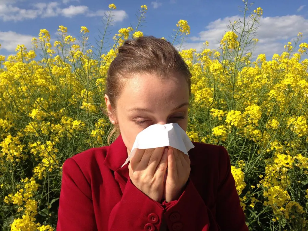 Las elevadas temperaturas han aumentado los niveles de alergia y la situación de anticiclón evita la dispersión de la contaminación.