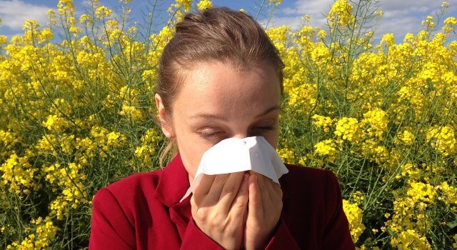 Las elevadas temperaturas han aumentado los niveles de alergia y la situación de anticiclón evita la dispersión de la contaminación.