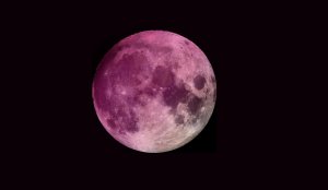 Imagen de la luna rosa, como se verá en abril de 2021