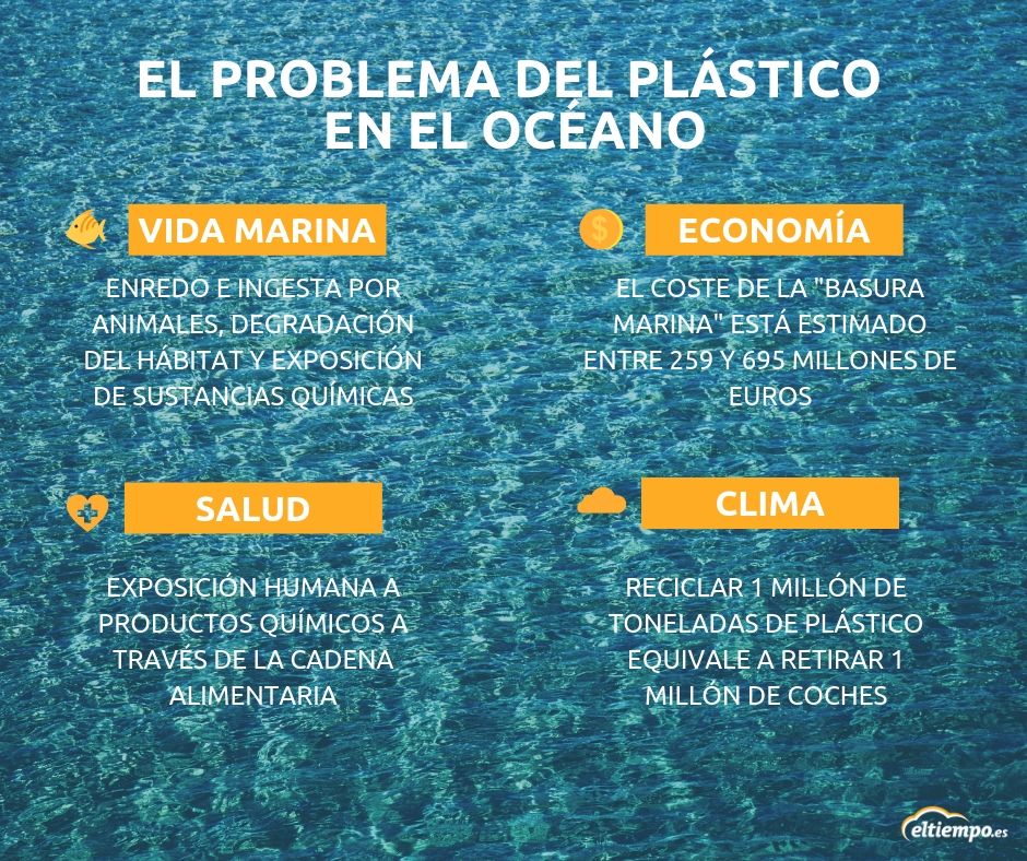 Cuánto en degradarse plástico en el mar? Eltiempo.es