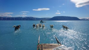 La estremecedora foto que alarma sobre el deshielo en Groenlandia