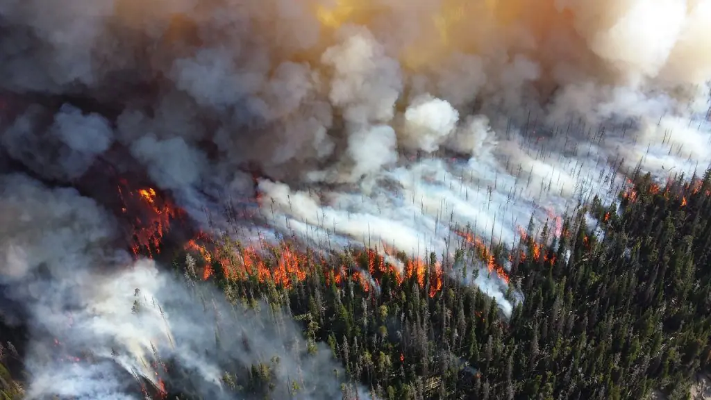 incendios-verano-2019-hectareas-causas