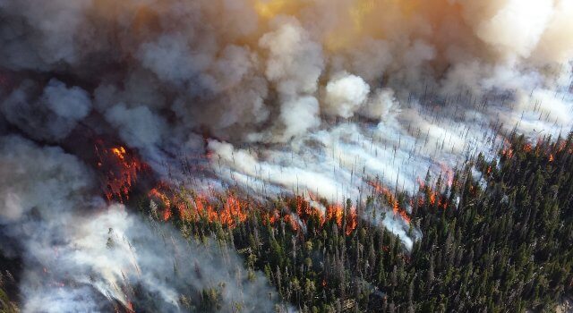 incendios-verano-2019-hectareas-causas