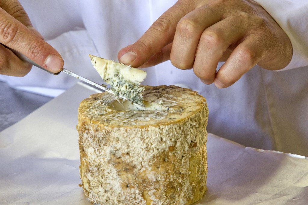 Queso Gamonedo / Gamonéu en Onís Autor: José Suárez