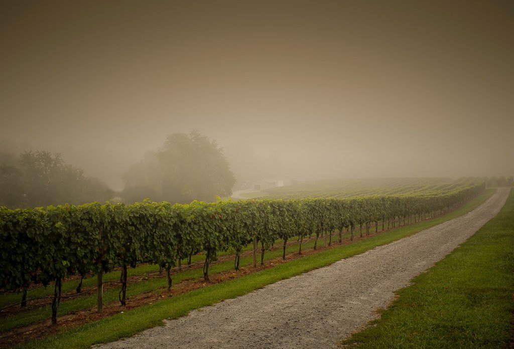 agricultura lluvia