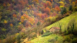 5 razones para escaparte a Asturias este otoño