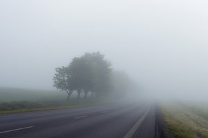 Consejos para conducir en días con niebla