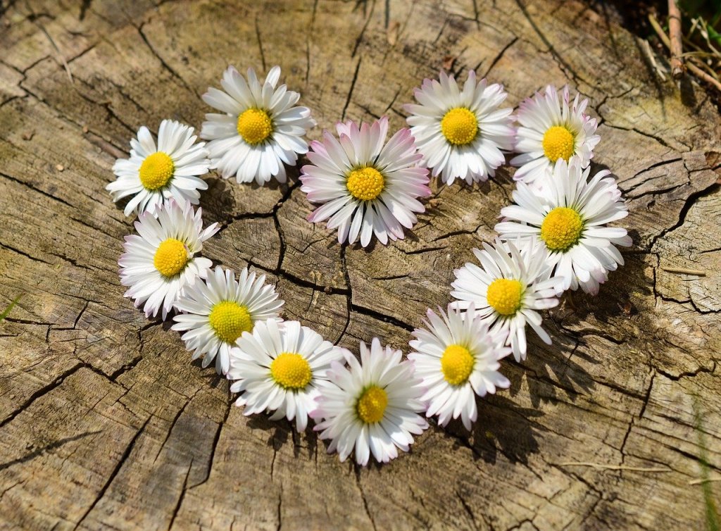 San Valentín