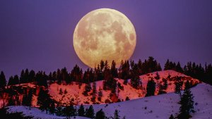 Luna llena de marzo 2021: la luna del gusano… ¿y una superluna?