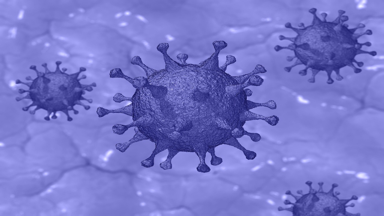 Esta es la temperatura que "prefiere" el coronavirus para Esta es la temperatura que "prefiere" el coronavirus para