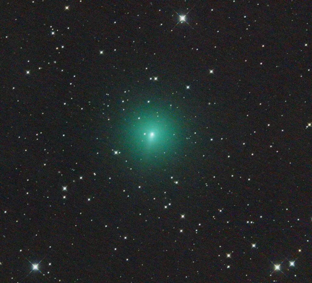 cometa-lenoard