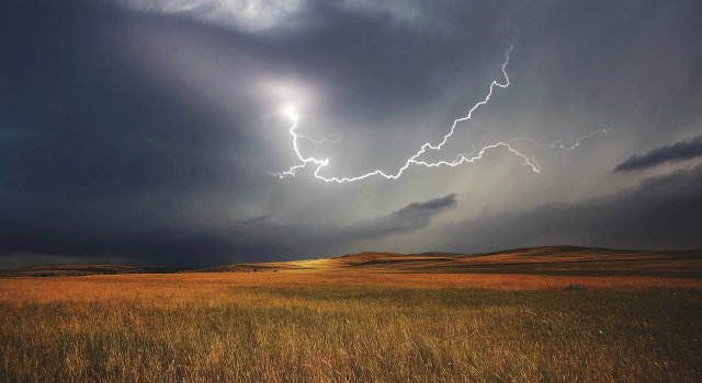 tormenta-polen-asma