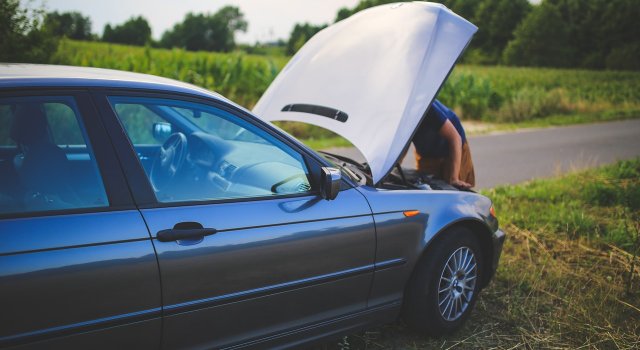 golpe-calor-coche-verano