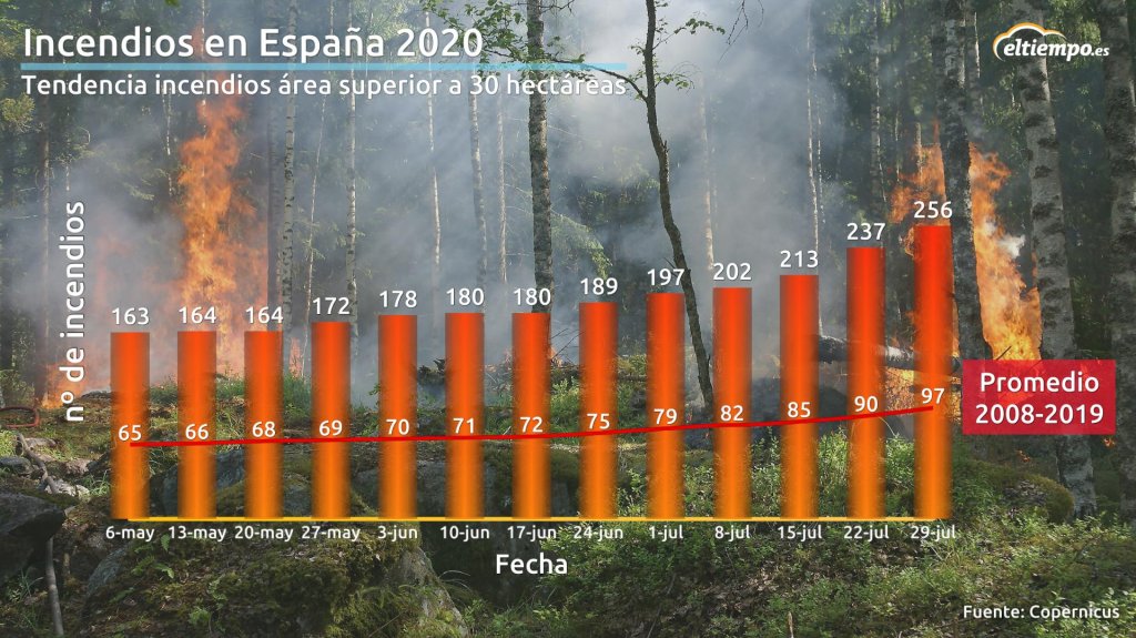 Los incendios forestales se reducen hasta un 43 respecto al año pasado