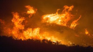 Qué es un pirocumulonimbo: la peligrosa nube «falsa» formada en los incendios