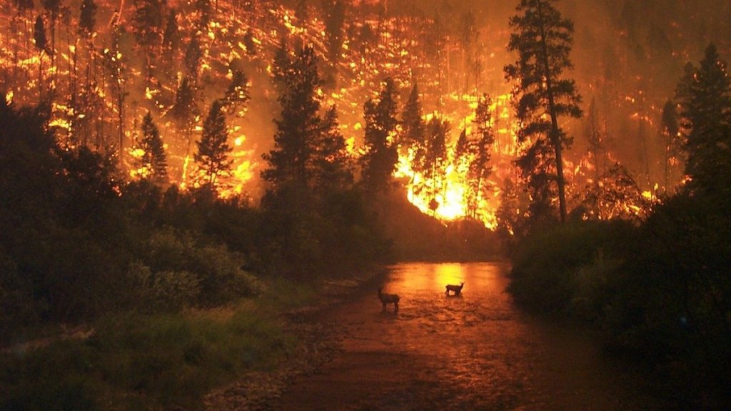 Incendio