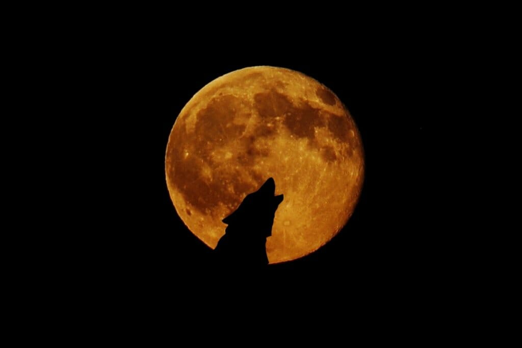 luna llena enero luna del lobo