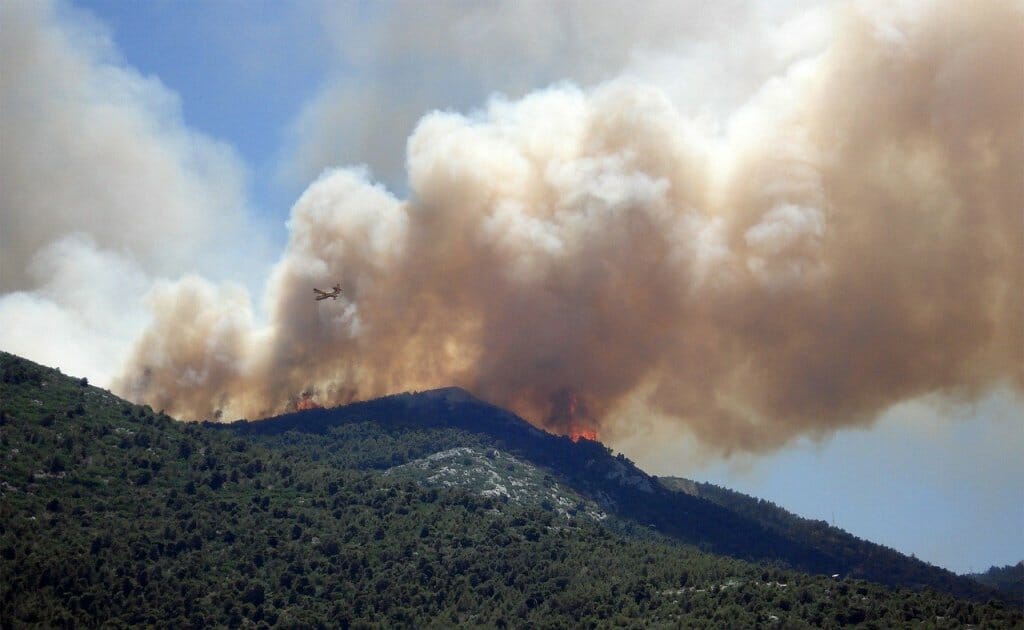 incendios-fuegos-forestales-causas