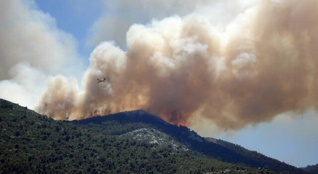 incendios-fuegos-forestales-causas