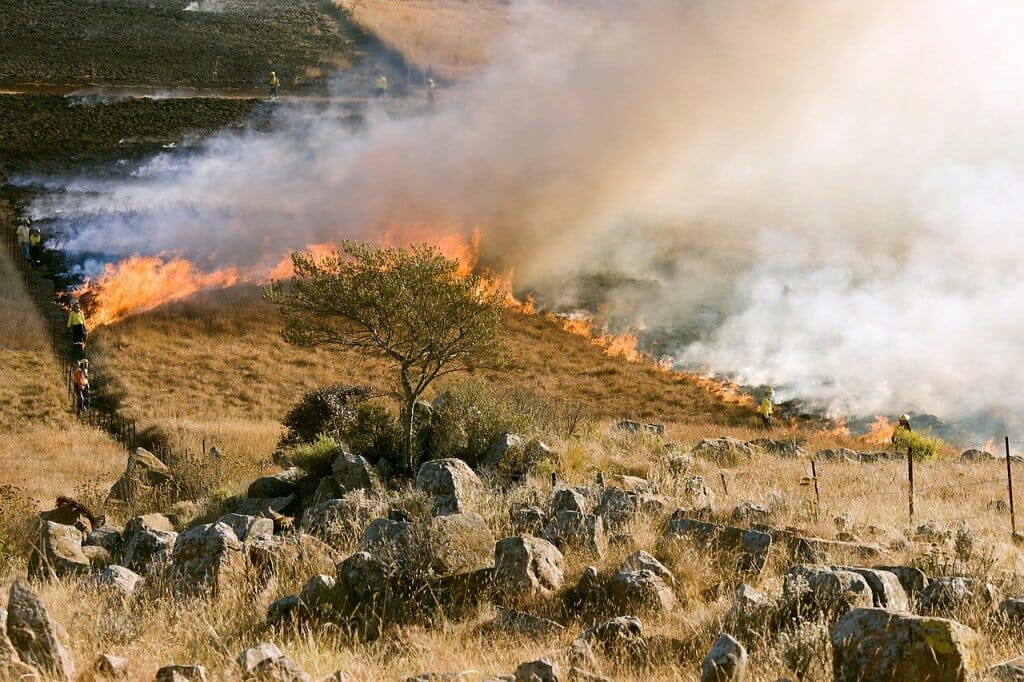 incendios-forestales-verano-espana