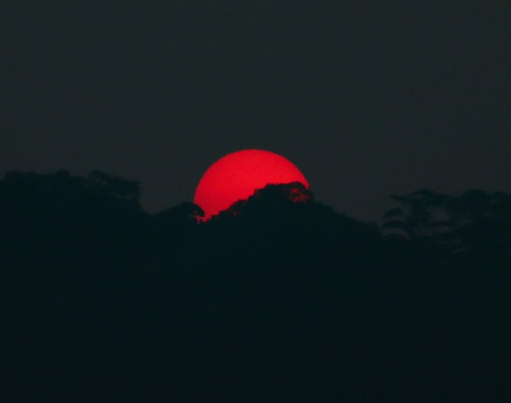 luna llena de las flores