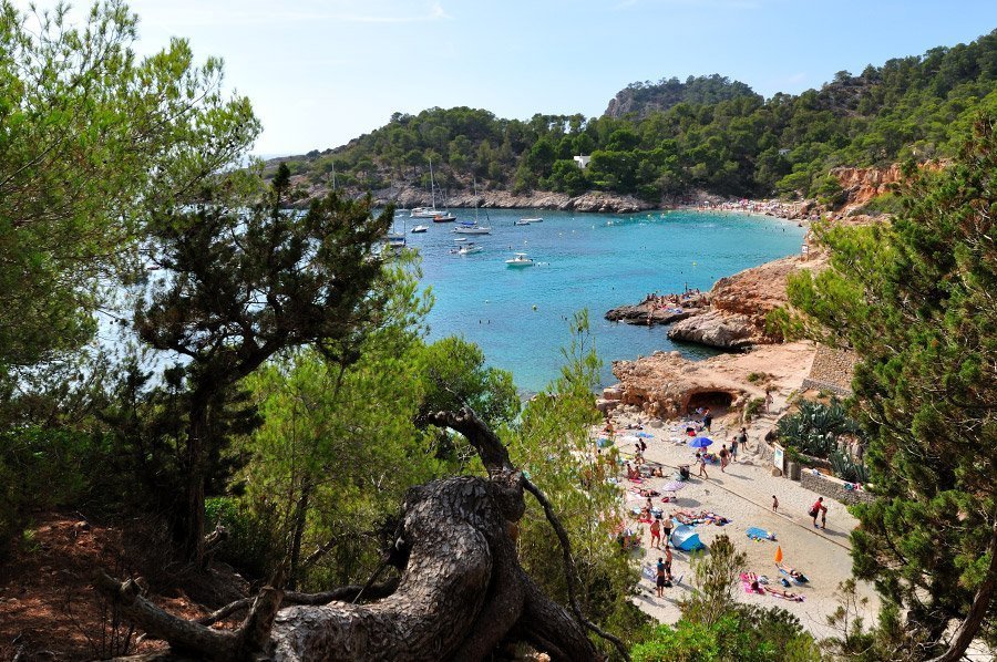 playa-paradisiaca-cala-salada-ibiza