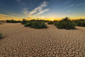 La primavera de 2021 en España ha sido la más seca de los últimos 15 años