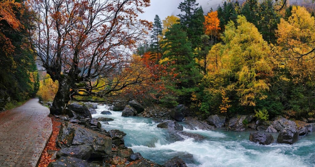 otoño tiempo santos