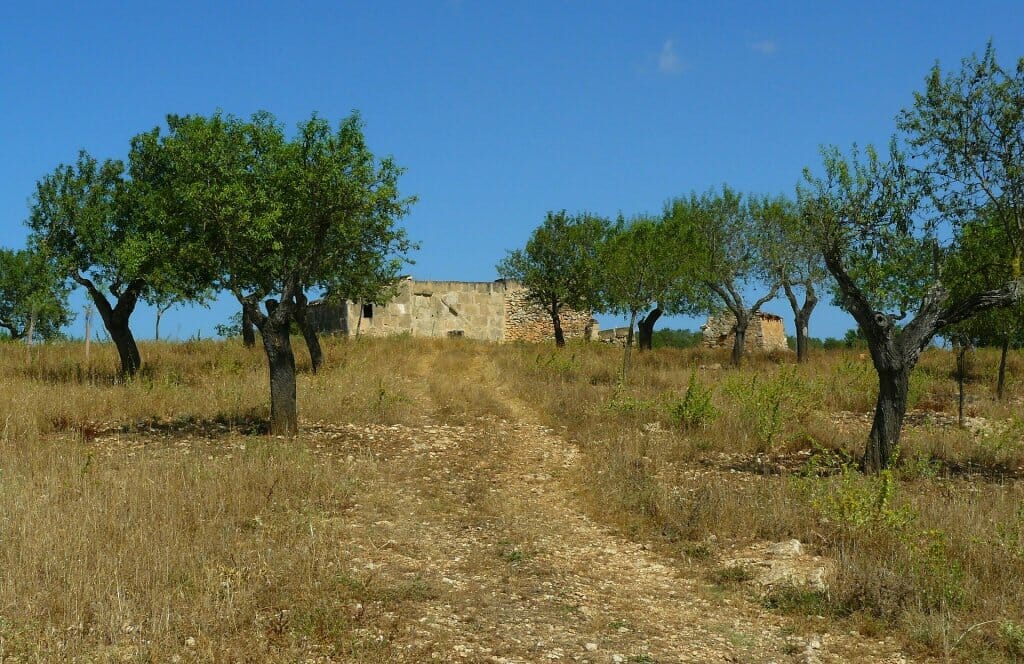 mediterráneo ipcc