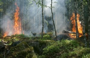 Un verano 2021 de incendios devastadores con emisiones récord