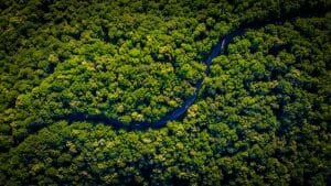 El Amazonas registra el septiembre con menos incendios de los últimos 20 años