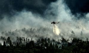 2021 ha sido un año de récords por los incendios forestales