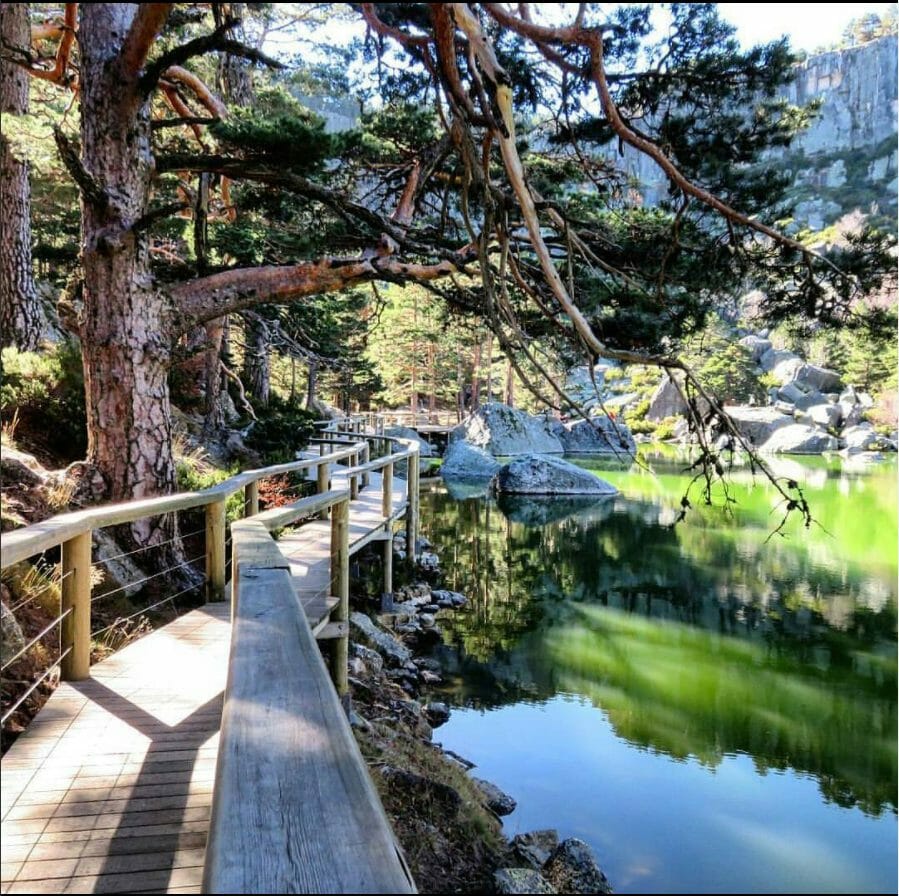 pasarela de madera en Laguna Negra con árboles